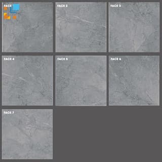 Ảnh Gạch Taicera G68818 3