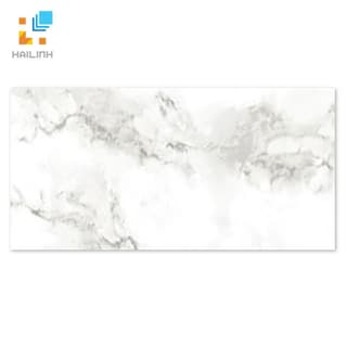 Ảnh Gạch TAICERA G63953 1