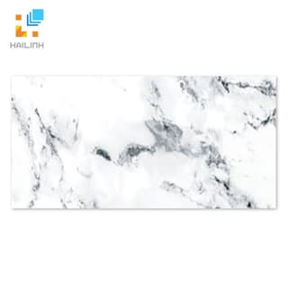 Ảnh Gạch TAICERA G63957 1