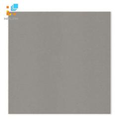 Ảnh Gạch Taicera G68001 1