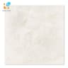 Ảnh Gạch Taicera G68845 1