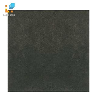 Ảnh Gạch Taicera G68990S 1