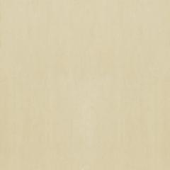 Ảnh Gạch Taicera G48936 1