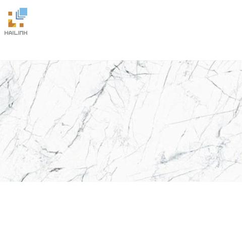 Gạch TAICERA G63905