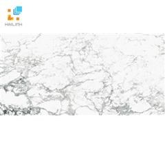 Ảnh Gạch Taicera G63965 1