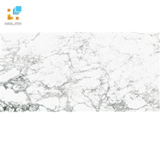Ảnh Gạch Taicera G63965 1