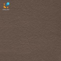 Ảnh Gạch Taicera G68521 1