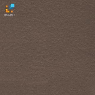 Gạch Taicera G68521