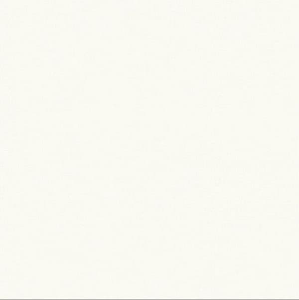 Gạch Taicera P67615N