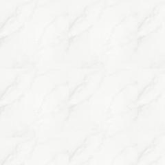 Ảnh Gạch Taicera P87418N 1