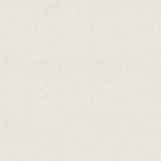 Ảnh Gạch Taicera P87542N 1