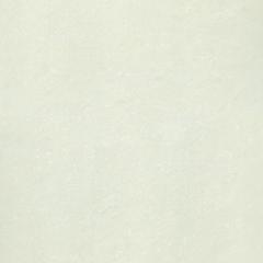 Ảnh Gạch Taicera P10703N 1
