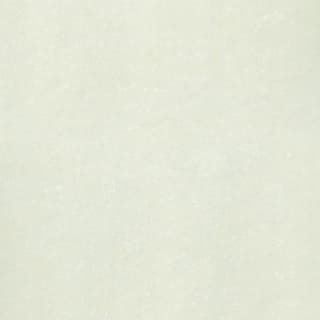 Ảnh Gạch Taicera P10703N 1
