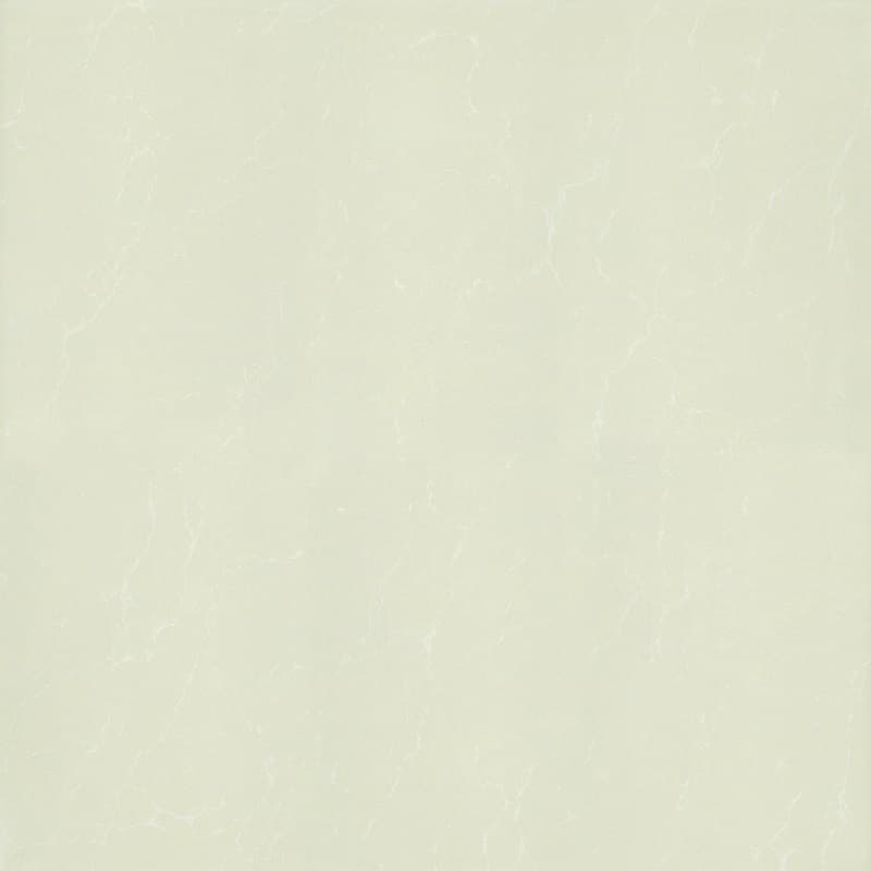 Gạch Taicera P87763N