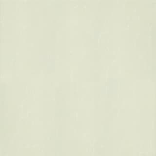 Ảnh Gạch Taicera P87763N 1