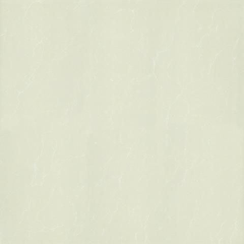 Gạch Taicera P87763N