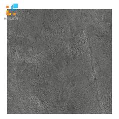 Ảnh Gạch TAICERA GC299x299-764 1