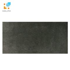 Ảnh Gạch Taicera GC600x298-824 1