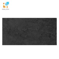 Ảnh Gạch TAICERA GC600x299-819 1