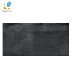Ảnh Gạch Taicera GC600x299-824 1