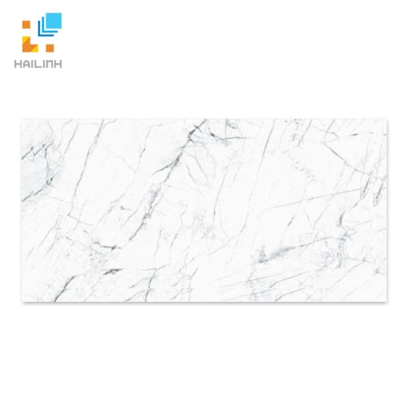 Gạch TAICERA GP63905