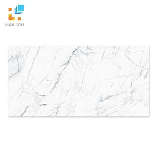 Ảnh Gạch TAICERA GP63905 1