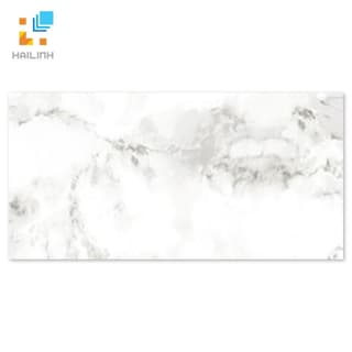 Ảnh Gạch TAICERA GP63953 1