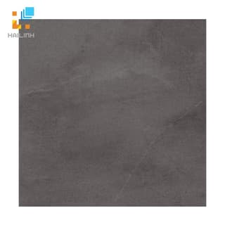 Ảnh Gạch Taicera GP68074 1