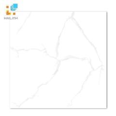 Ảnh Gạch Taicera GP68085 1