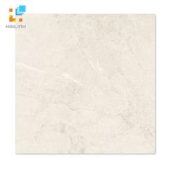 Ảnh Gạch Taicera GP68813 1
