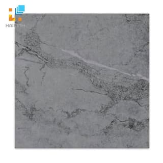 Ảnh Gạch Taicera GP68818 1