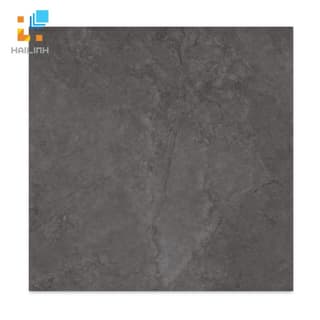 Ảnh Gạch Taicera GP68819 1