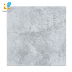 Ảnh Gạch Taicera GP68848 1