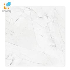 Ảnh Gạch Taicera GP68905 1