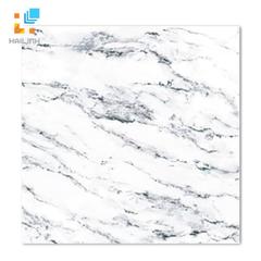 Ảnh Gạch Taicera GP68957 1