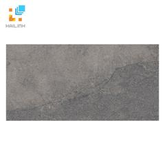 Ảnh Gạch Taicera MXGA 1