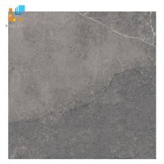 Ảnh Gạch TAICERA P6060 MXGA 1
