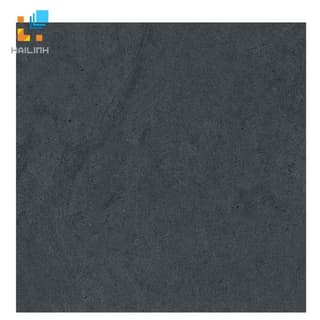 Ảnh Gạch TAICERA P6060 STGA 1