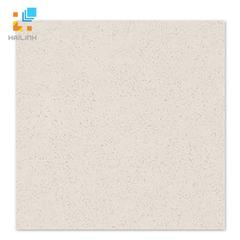 Ảnh Gạch Taicera P67005N 1