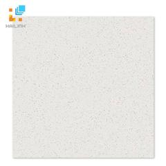 Ảnh Gạch Taicera P67015N 1