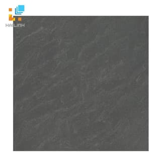 Ảnh Gạch Taicera P67029N 1