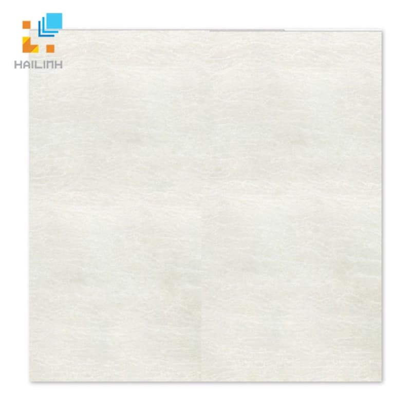 Gạch Taicera P67225N