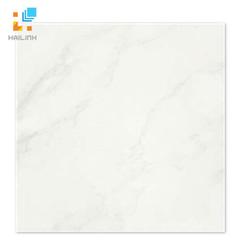 Ảnh Gạch Taicera P67418N 1