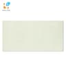 Gạch Taicera PC600x298-703N 1