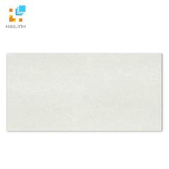 Ảnh Gạch Taicera PC600x298-762N 1