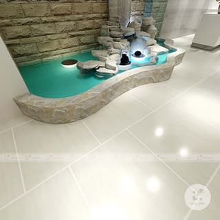 Ảnh Gạch Taicera P67208N 4