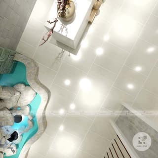 Ảnh Gạch Taicera P67208N 5