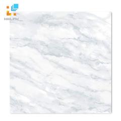 Ảnh Gạch Taicera GP68955 1