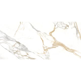 Ảnh Gạch Tây Ban Nha HL126149 3