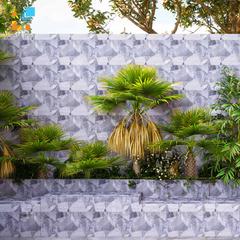 Ảnh Gạch Tây Ban Nha HL4437 4